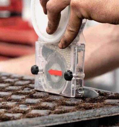 Semoir manuel pour plaque alvéolée