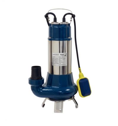 Pompe à eau immergée automatique en fonte 1100W