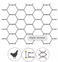 Grillage Triple Torsion Galva