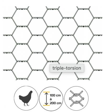 Grillage Triple Torsion Galva