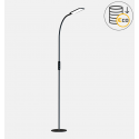 Photo : Lampe led sur pied professionnelle