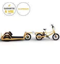 Vélo cargo électrique professionnel