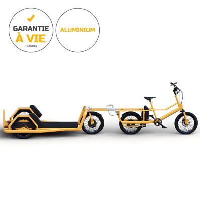 Vélo cargo électrique professionnel