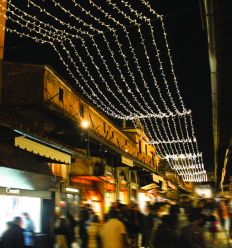 Guirlande lumineuse extérieur noël professionnel