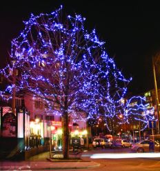 guirlande lumineuse noël extérieur​