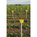 Photo : Jalon plastique agricole (lot de 100) Blanc - 18 mm - Sans