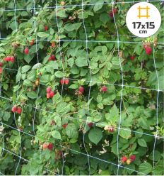 Filet à ramer blanc