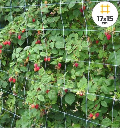 Filet à ramer blanc