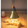 Lampe chauffante poussins câble de 2,4 m ou 4,9 m