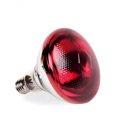 Ampoule chauffante rouge infrarouge 175W