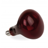 Ampoule chauffante rouge infrarouge 250W