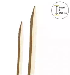 Piquet Cloture Chataignier Scié et Écorcé