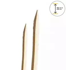 Piquet Acacia pour Cloture Scié et Écorcé