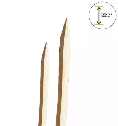 Piquet Cloture Acacia dimensions