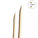 Photo : Piquet Acacia pour Cloture Scié et Écorcé 1,5 m - 28/32 cm (Ø 8/11cm)
