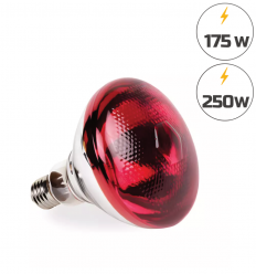 Ampoule chauffante rouge infrarouge