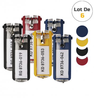 6 porte-clés de couleurs assorties