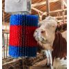 Brosse a Vache Electrique en Situation