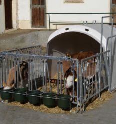 Niche a Veau Collective 5 Places en Situation