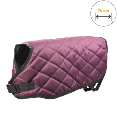 Couverture Veau 74 cm