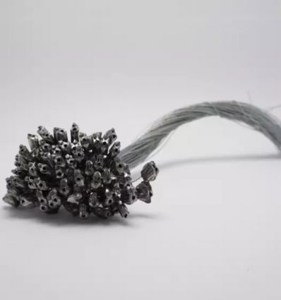 Scellé de sécurité plomb