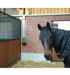 Abreuvoir chevaux automatique stabulation libre