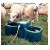 Abreuvoir a mouton double