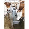 Abreuvoir bovin en inox format compact