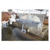 Auge pour bovins en inox