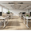 Photo : Dalle pour bureaux Bois clair - Gris foncé