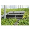 Table de Culture à Fond Grillagé pour serre