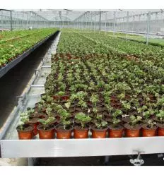 Table de culture Professionnelle à Fond Subirrigant