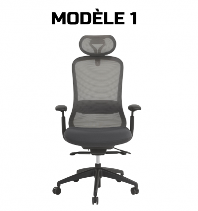 Chaise de direction professionnel modèle 1