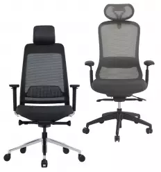 Chaise de direction professionnel