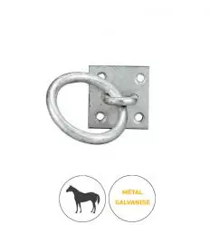 Anneau attache cheval