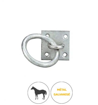 Anneau d'attache cheval