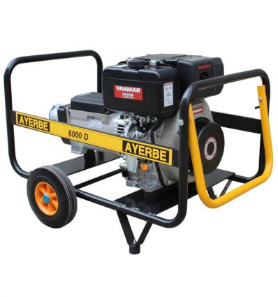 Groupe électrogène diesel 5000 W moteur Yanmar, 5,5 L démarrage manuel
