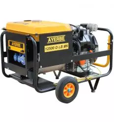 Groupe electrogene diesel 10000W