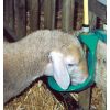 Abreuvoir ovins a soupape en laiton