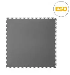 Dalle ESD