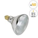 Photo : Ampoule Chauffante Infrarouge Blanche à Verre Renforcé (Lot de 50) 100W