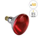 Photo : Ampoule Chauffante Infrarouge Rouge à Verre Renforcé (Lot de 50) 100W