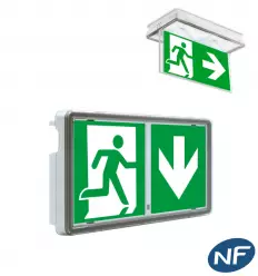 Bloc sortie de secours BAES