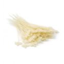 Photo : Scellé en plastique autoplasto