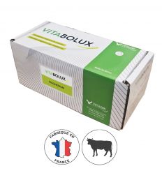 Boite de Bolus Magnesium pour Bovins Adultes - 20x70g