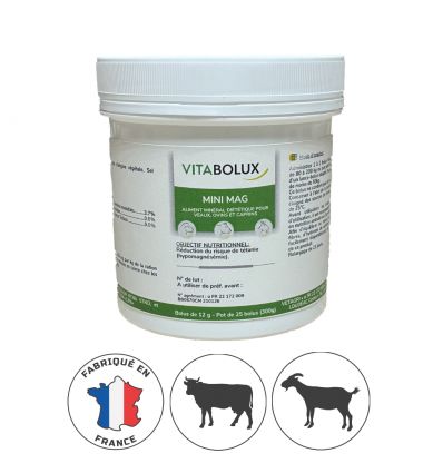 Boite de Mini Bolus Magnesium pour veaux et petits ruminants - 25x12g