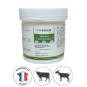 Photo : Boite de Mini Bolus Magnesium pour veaux et petits ruminants - 25x12g