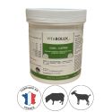 Photo : Boite de Bolus Ovin et Caprin aux Oligo Éléments - 50x11g