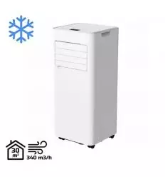 Climatiseur mobile professionnel réversible