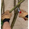 Gant débardage - élagage - Solidur en action coupant une branche